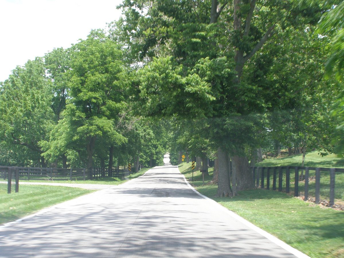 Kentucky bluegrass horse farm with white fences